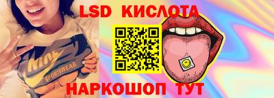 прущие крисы Шелехов