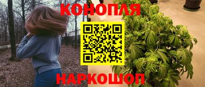 прущие крисы Шелехов