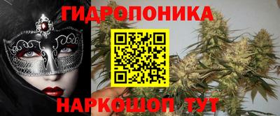 бошки Шахты