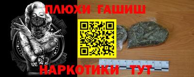 прущие крисы Шелехов