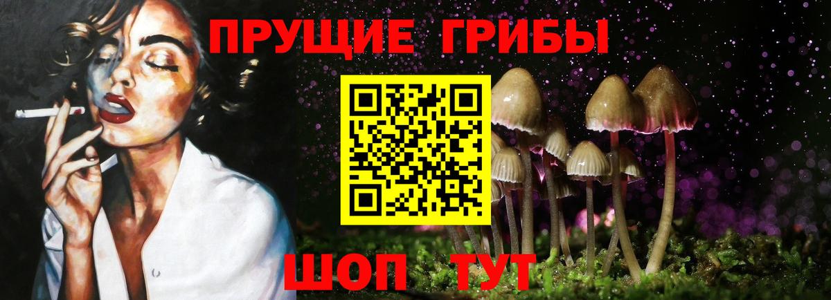 Галлюциногенные грибы Cubensis Белая Калитва