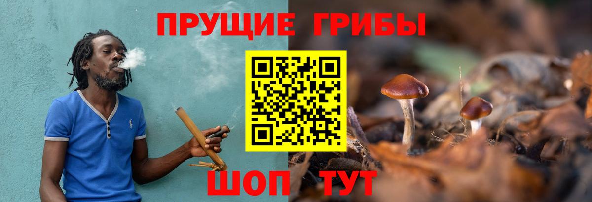 Псилоцибиновые грибы Magic Shrooms  Вход с VPN  Псилоцибиновые грибы GOLDEN TEACHER  Белая Калитва 